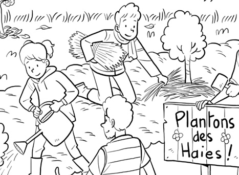 Ton coloriage Plantons des haies